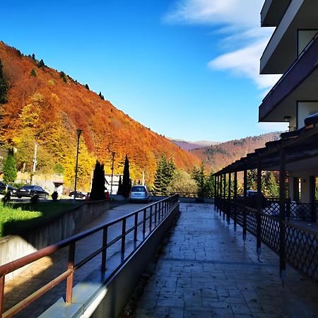 Serenity Suite Sinaia Buitenkant foto